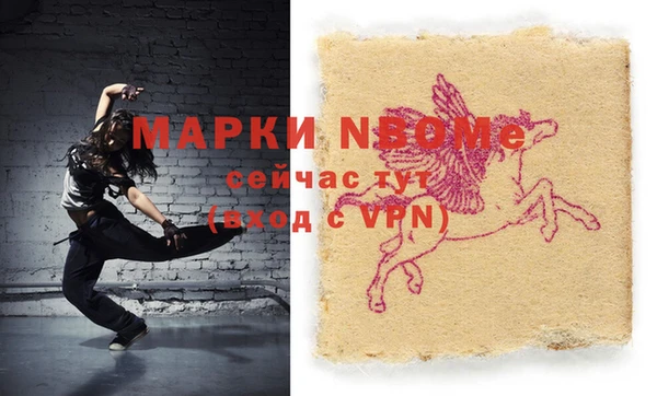 хмурый Белокуриха