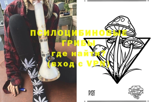 тгк Беломорск