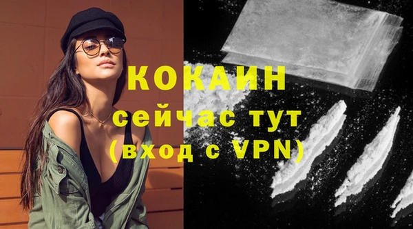 хмурый Белокуриха