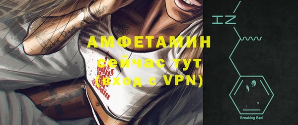 apvp Богородицк