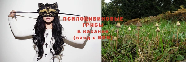 тгк Беломорск