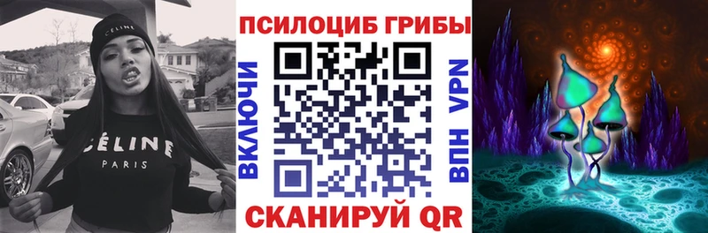 hydra ССЫЛКА  Ленинградская  Галлюциногенные грибы прущие грибы 